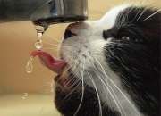 开云棋牌官方-欧冠半决赛之夜，赖斯赛后评分拉满，一战封神