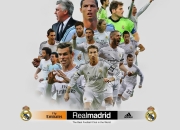 开云官网-伊布魔咒与北非风暴，当传奇成为天平上的最后一颗砝码