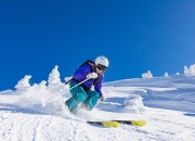 棋牌游戏-当绿色狂潮席卷银黑王朝，杰伦·格林的存在感如何定义新时代的对抗