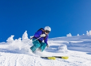 棋牌游戏-当绿色狂潮席卷银黑王朝，杰伦·格林的存在感如何定义新时代的对抗