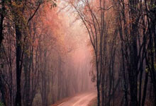 开云棋牌官网-南大王折戟安联，西甲烽烟骤然急！当拜仁王冠落地，西甲三雄谁将问鼎？