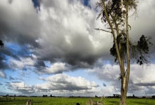 棋牌游戏-日本乒乓球队完胜韩国队，张继科三分雨点燃全场的辉煌瞬间